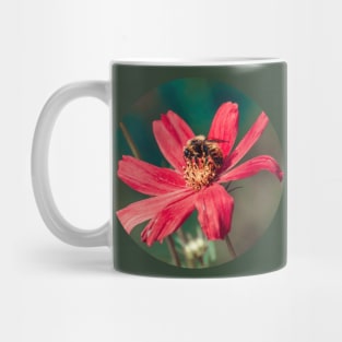 Bee Collecting Pollen Photograph Mug